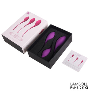 PHANXY 6Pcs Kegel Balls Vaginal Chinese Balls for Women Sex Toys for Woman Shrinking Vagina Geisha Ball Tighten Exercise Machine - sextoysok