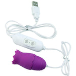 Silent Vibrator Eggs Wireless Remote Control Eggs Wireless Remote Control Jump Vaginal Massager Sex Toys Woman - sextoysok