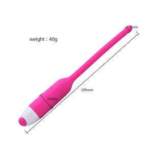 Adult supplies wholesale silicone horse eye urethra tube female masturbation massage AV vibrator sagitar wish explosion (rose red opp) - sextoysok