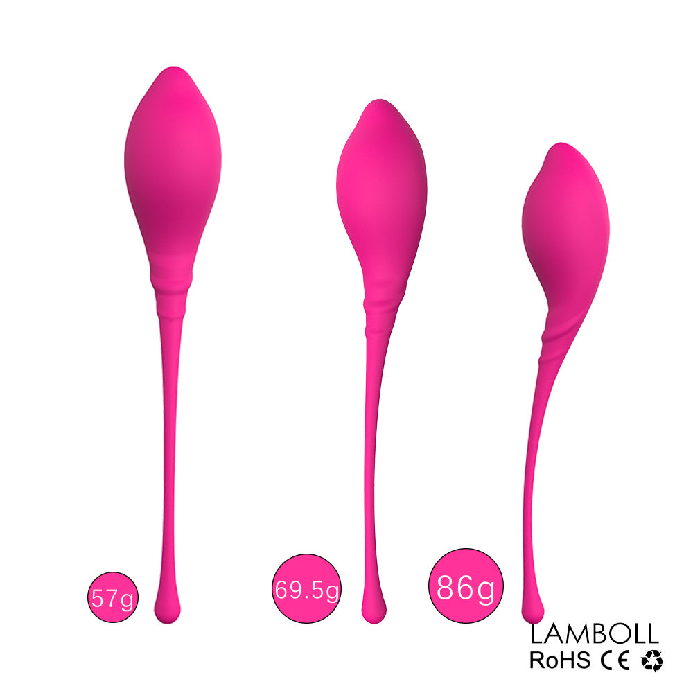 PHANXY 6Pcs Kegel Balls Vaginal Chinese Balls for Women Sex Toys for Woman Shrinking Vagina Geisha Ball Tighten Exercise Machine - sextoysok