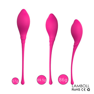 PHANXY 6Pcs Kegel Balls Vaginal Chinese Balls for Women Sex Toys for Woman Shrinking Vagina Geisha Ball Tighten Exercise Machine - sextoysok