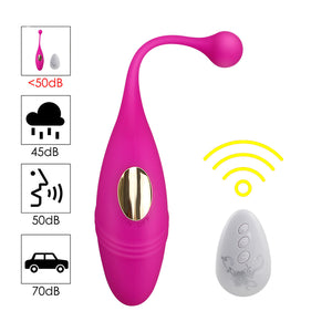 HWOK Panties Wireless Remote Control Vibrator Panties Vibrating Egg Wearable Dildo Vibrator G Spot Clitoris Sex toy for Women - sextoysok