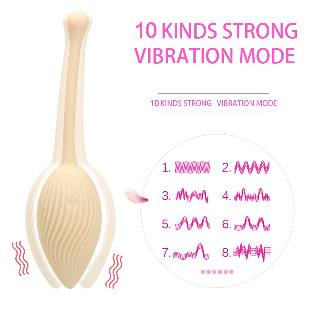 IKOKY Vibrator Egg 10 Speeds Wireless Vaginal Ball Exercises Female Masturbator Conch Shape Vibrating Eggs Sex Toys for Women - sextoysok