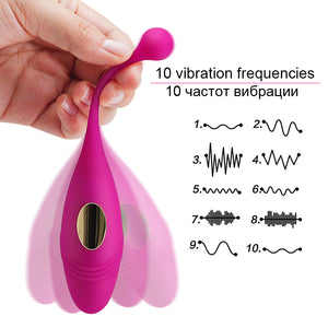 HWOK Panties Wireless Remote Control Vibrator Panties Vibrating Egg Wearable Dildo Vibrator G Spot Clitoris Sex toy for Women - sextoysok