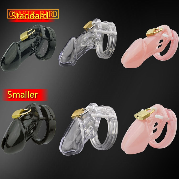 Chaste Bird Small/Standard Male Chastity Device Cock Cage With 5 Size Rings Brass Lock Locking Number Tags Sex Toys CB6000 A153 - sextoysok