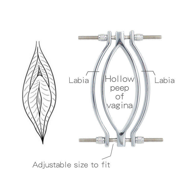 Metal Labia Clips Exotic Accessories Labium Pussy Clamps Clitoris Stimulation Massager Vagina Speculum Sex Toys (Labia clip) - sextoysok