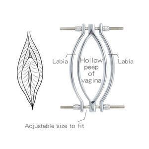 Metal Labia Clips Exotic Accessories Labium Pussy Clamps Clitoris Stimulation Massager Vagina Speculum Sex Toys (Labia clip) - sextoysok