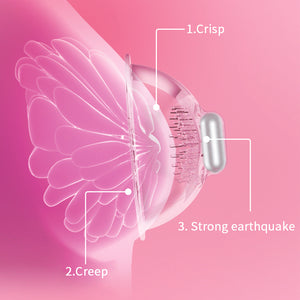 Nipple Sucker Breast-fed Sex Toy for Women Vibrating Bullet Nipple Pump Vibrator Suction Cup Breast Stimulator Sex Toy for Adult (Retail Box packing) - sextoysok