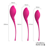 Safe Silicone Sex Toys for Women Smart Ball Kegel Ball Ben Wa Ball Vagina Tighten Exercise Machine Vaginal Geisha Sex Balls - sextoysok