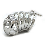 Stainless Steel Chastity Device Male Belt Bird Metal Cock Cage Stealth Lock Restraint Ring Sex Toy Cock Chastity for Men - sextoysok
