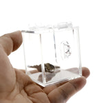 The Chastity Key Safe Chastity key holder keyholder THE CHASTITY KEY SAFE Chastity Game with Acrylic sexy box sexy toy 2019 - sextoysok
