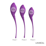 Safe Silicone Sex Toys for Women Smart Ball Kegel Ball Ben Wa Ball Vagina Tighten Exercise Machine Vaginal Geisha Sex Balls - sextoysok
