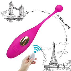 HWOK Panties Wireless Remote Control Vibrator Panties Vibrating Egg Wearable Dildo Vibrator G Spot Clitoris Sex toy for Women - sextoysok