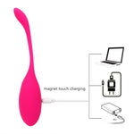 IKOKY Kegel Exercise Vaginal Ball Remote Control G-spot Vibrator Sex Toys for Women USB Charge Vibrating Egg Ben Wa ball - sextoysok