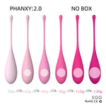 PHANXY 6Pcs Kegel Balls Vaginal Chinese Balls for Women Sex Toys for Woman Shrinking Vagina Geisha Ball Tighten Exercise Machine - sextoysok