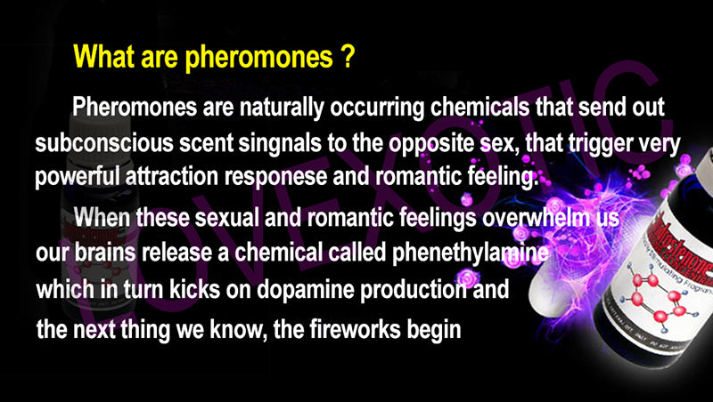 Female Pheromone To Attract Men Feromonas Para Atraer Mujeres Androstenone Sexual Stimulant Fragrance Oil Sexy Perfume Colognes - sextoysok